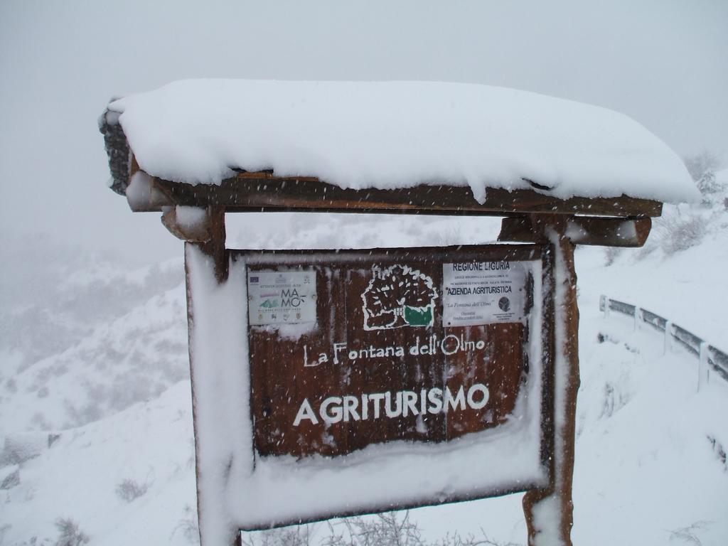 Agriturismo La Fontana Dell'Olmo Hotel Molini di Triora Екстериор снимка