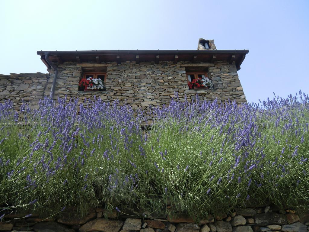 Agriturismo La Fontana Dell'Olmo Hotel Molini di Triora Екстериор снимка