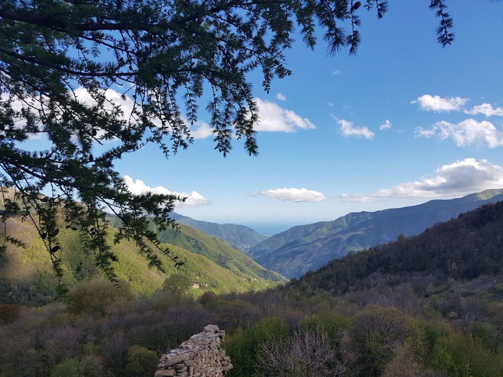 Agriturismo La Fontana Dell'Olmo Hotel Molini di Triora Екстериор снимка